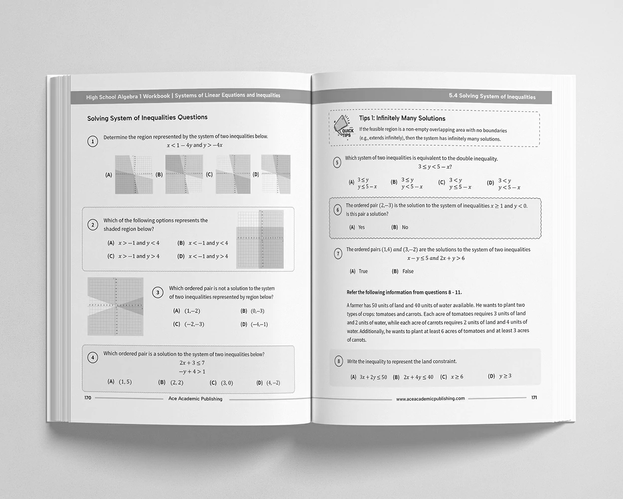 High School Algebra 1 Workbook view 4
