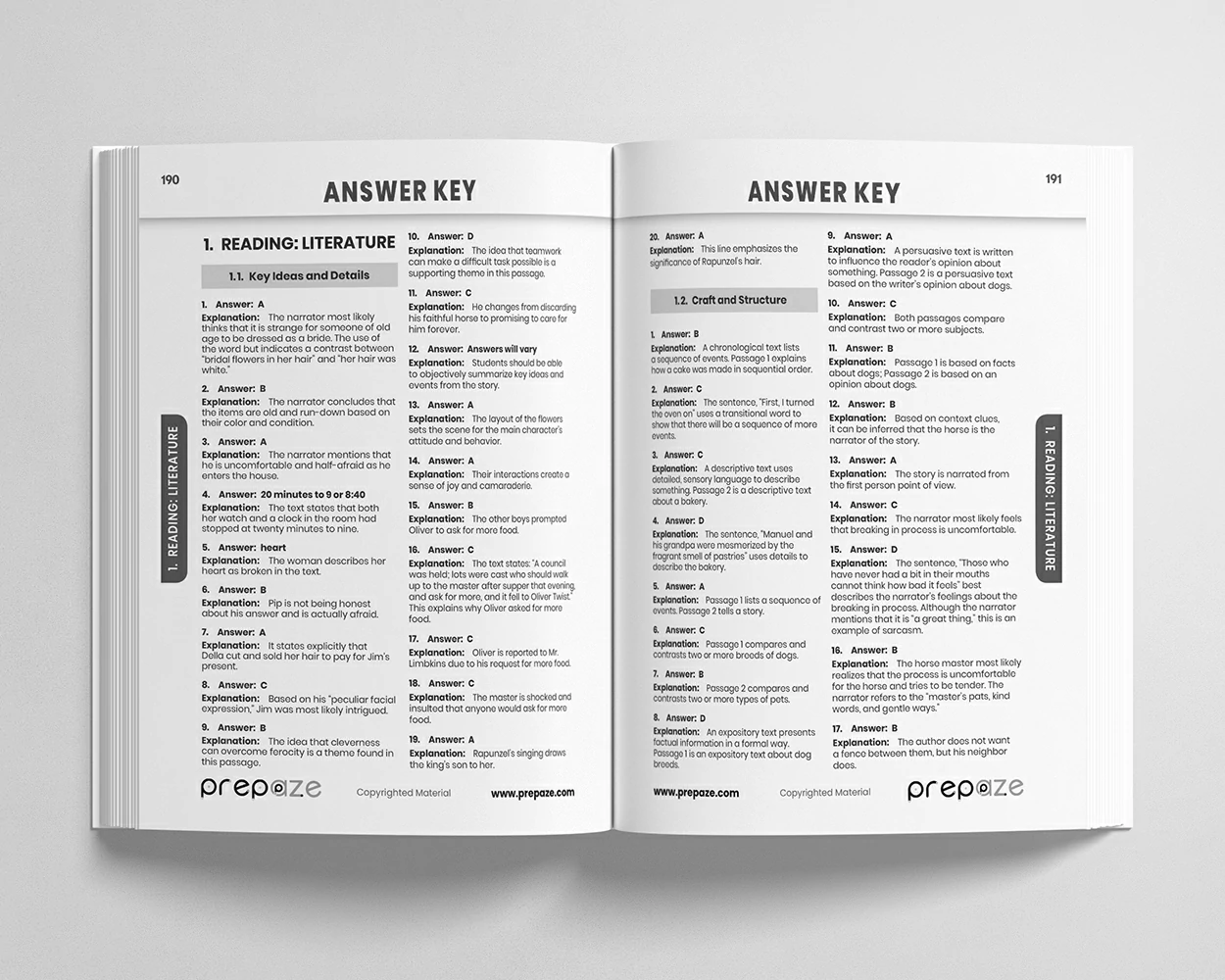 8th Grade ELA Workbook view 5