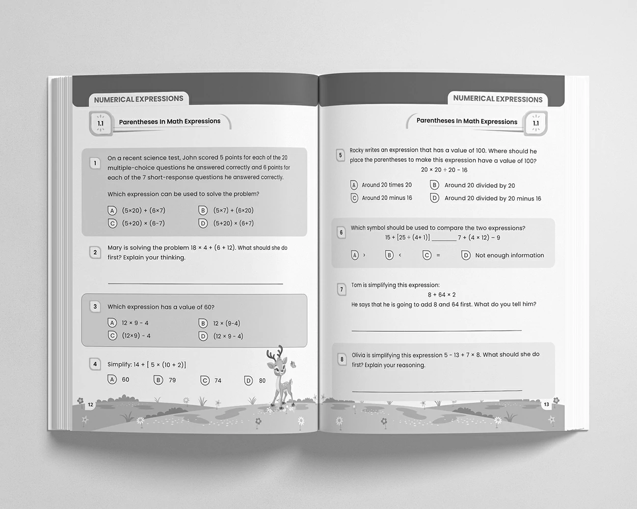 Grade 5 - Math Adventures view 2