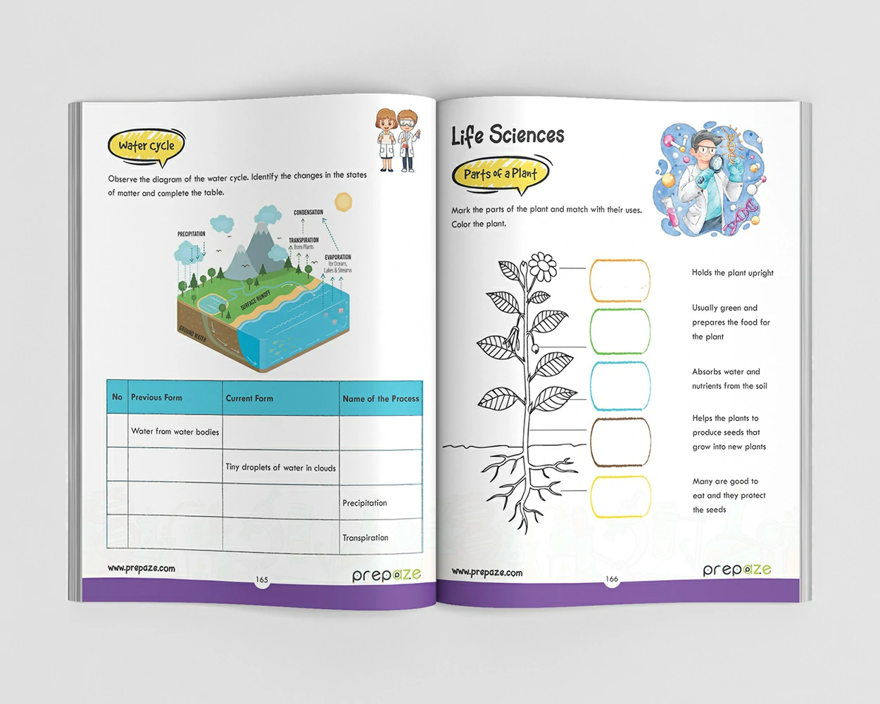 Grade 1 - The One Big Book view 5