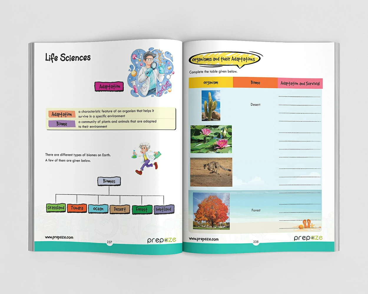Grade 3 - The One Big Book view 5