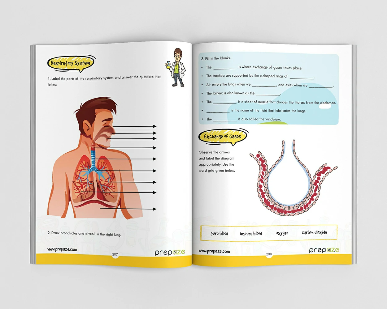 Grade 5 - The One Big Book view 5